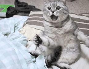 和女友吵架后，顺德小伙“为爱献身”，冲上阳台……