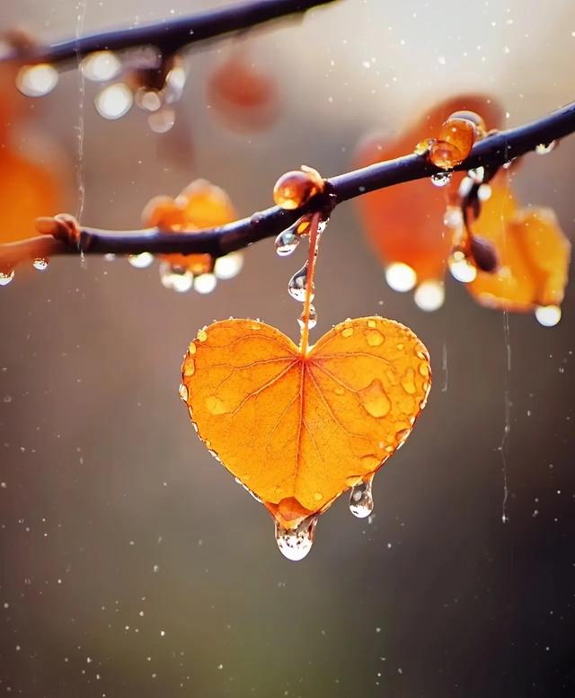 后来的我们，拥有了一切，却唯独失去了彼此