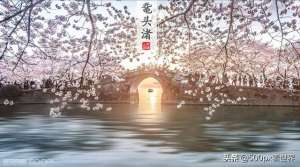 樱之花(“樱之花”摄影作品，每一张都唯美动人)