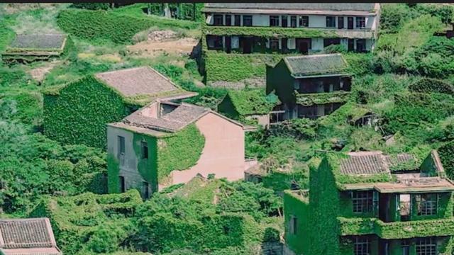 浙江舟山发现一个无人村，3000村民全部搬离，如今令人向往
