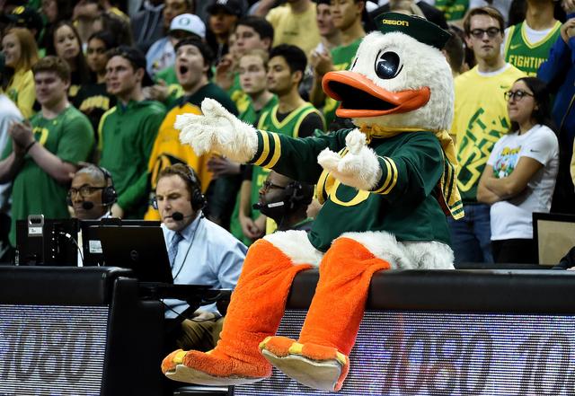 受人追捧的“流量鸭”，不只有可达鸭