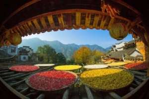 瓜网(我问你这瓜保熟吗？保熟我这大数据挑瓜，红外测糖，震动测脆度……)