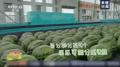 我问你这瓜保熟吗？保熟！我这大数据挑瓜，红外测糖，震动测脆度……