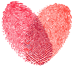 她写的歌被毛不易唱红，但愿望却是：活过下一个生日