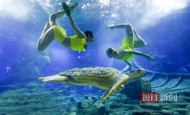 水中“福禄寿三星”报喜贺新春