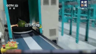 我问你这瓜保熟吗？保熟！我这大数据挑瓜，红外测糖，震动测脆度……