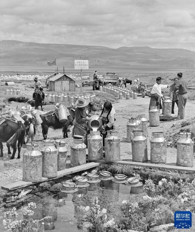 “国社之镜·世纪光影”新华社新闻摄影展丨丰衣足食(下篇)