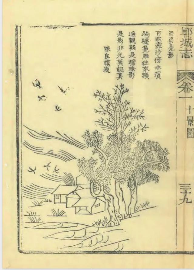 走遍郓城——古郓十景之梁渠凫影