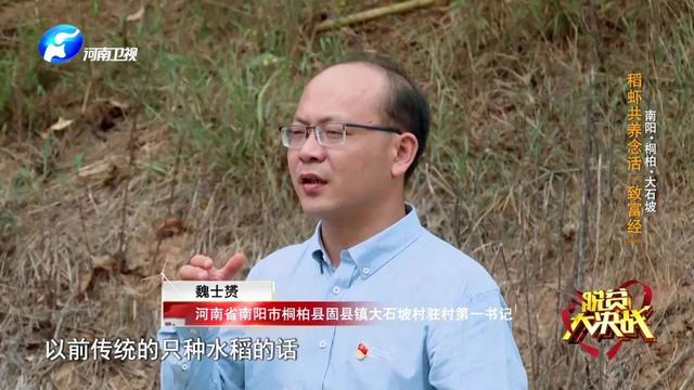 “豆腐西施杨七巧”穿皮裤捉虾，大石坡村上演虾王争霸