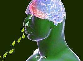 金斯瑞解密系列｜美国电影中的食人虫，竟然真的出现了