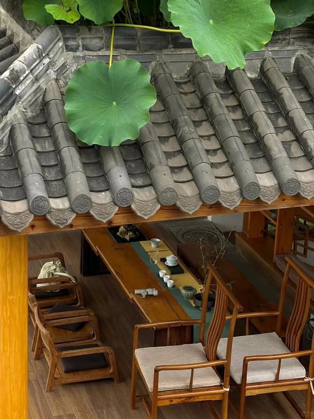 乐山人，就是chill！