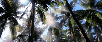 微视频｜海洋之声