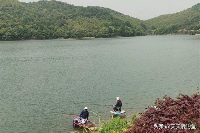 野钓必杀技：选择不同的“方位”，影响了鱼获多少