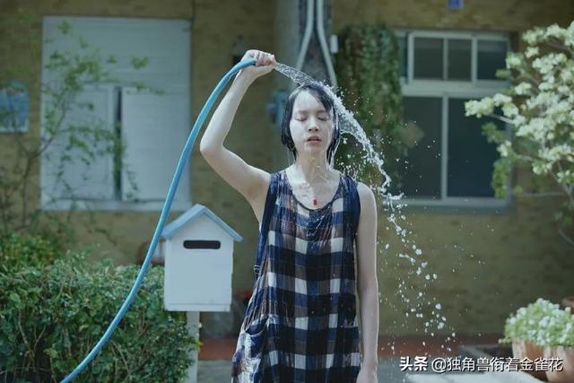 台影推荐《十七岁》：青春呼啸而过，没有人不怀念17岁