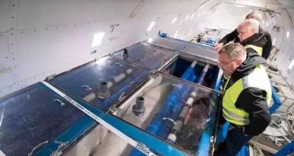 两只白鲸远离家乡10年，众人为帮助它们回家，陪同飞行6000英里