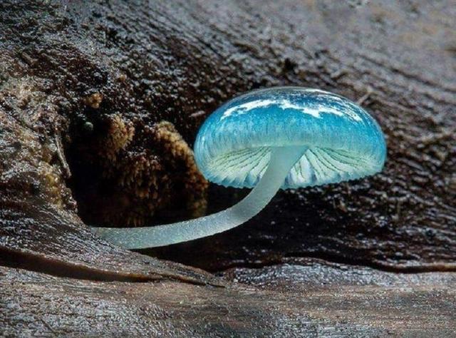 20张精彩照片：丹麦漂亮的超胖女模特，可泡澡的五星级球场观众席