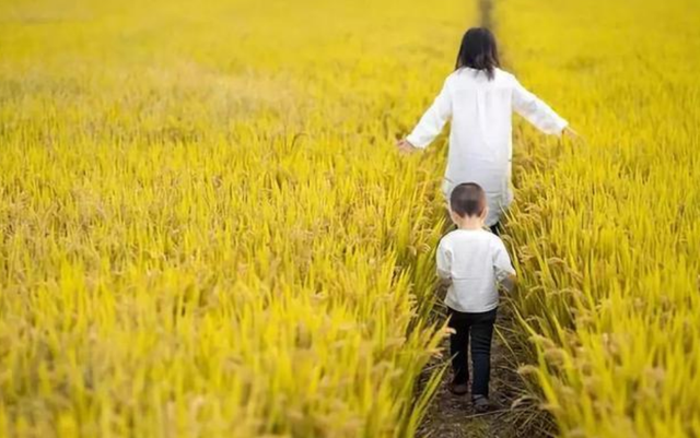 孩子姓“陈”，出生证被医生打错，宝妈看到后大喜：就这样不改了