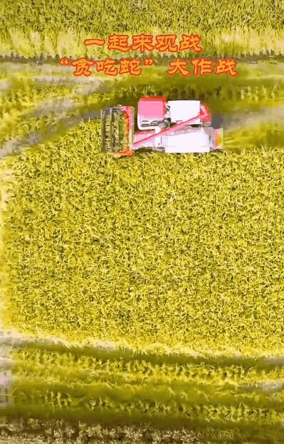 我问你这瓜保熟吗？保熟！我这大数据挑瓜，红外测糖，震动测脆度……