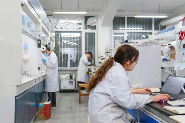 大工人拜年必备语录.zip