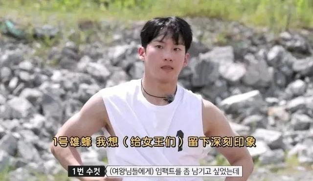 韩综再出狂招!一女三男荒岛求生,只穿遮羞布?网友炸锅