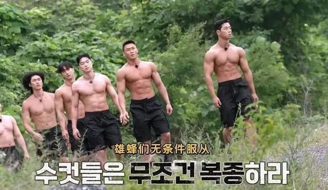 韩综再出狂招!一女三男荒岛求生,只穿遮羞布?网友炸锅