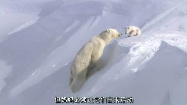 美剧？热播剧？动漫？追剧停不下来，必须安利你一款“刷剧神器”