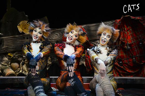 复刻伦敦西区,音乐剧《猫》来上海连演43场