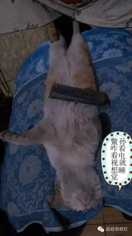 大咪咪！逆天了！逆天了