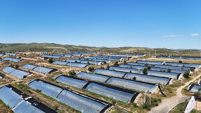 大井镇：以“存量”换“增量”  让闲置资源“火起来”