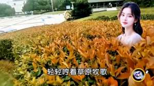 原野牧歌(好听的一首《原野牧歌》歌声旋律优美，超级好听，百听不厌。)