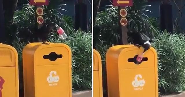 外国网友分享大自然令人震撼的瞬间，这世界真的太美好了