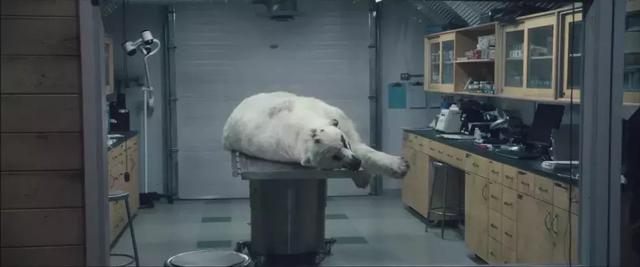 8部末日灾难片，脑洞一个比一个大