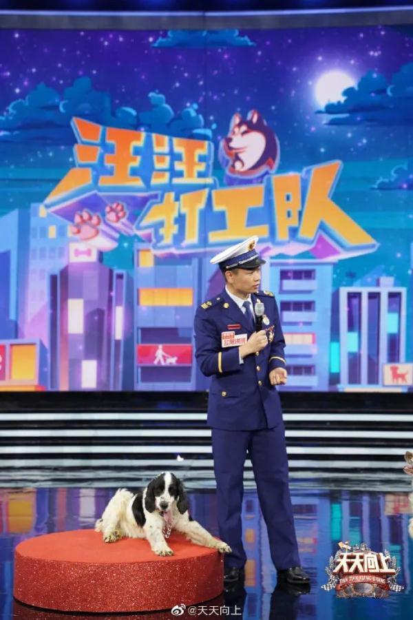 再见，小英雄！汶川地震最后一只搜救犬离世