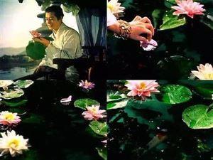 日本1956年拍的《白娘子传奇》，最接近原著的一部白蛇传