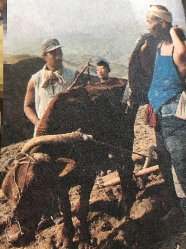 重温八十年代老电影《黄土地》