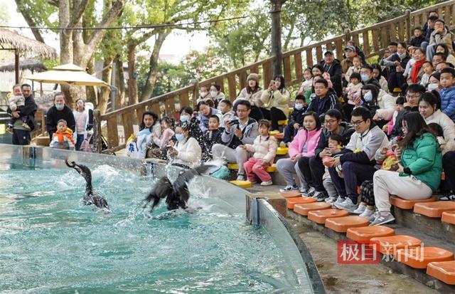 水中“福禄寿三星”报喜贺新春