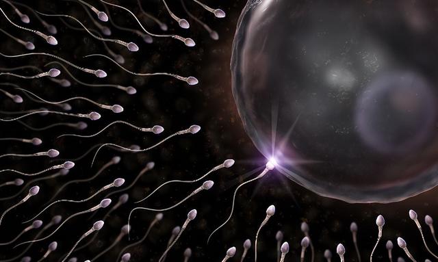 为何会有人对精液过敏？对精液过敏的女生，要怎么生娃？