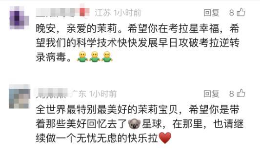 官方确认：已死亡，死因公布！2个孩子也因此离世...