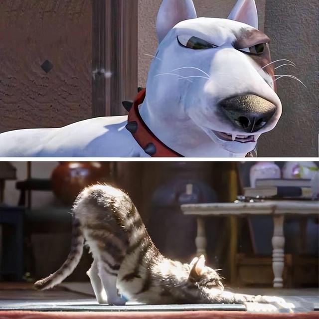 20张精彩照片：丹麦漂亮的超胖女模特，可泡澡的五星级球场观众席