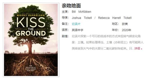 影视即能量与自由，影视123影视推荐2020榜单