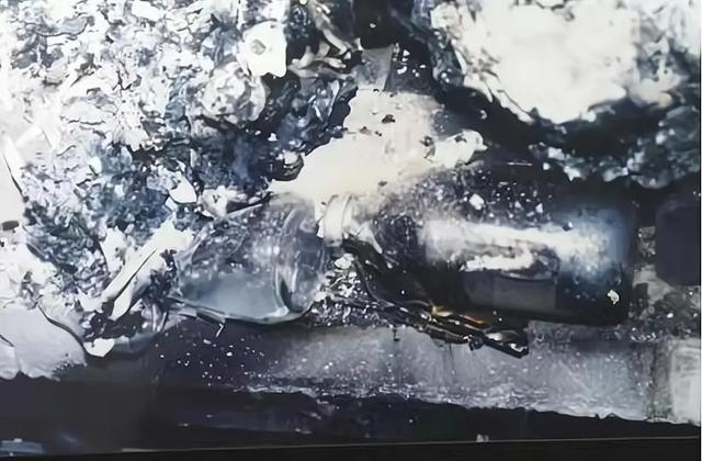 台湾亿万富豪杀死3个孩子，带妻子钻进焚化炉，亲手灭门是为何？