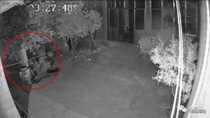 小钰微博(孙女离家前，87岁爷爷凌晨摘樱桃送去网友：被偏爱真好)