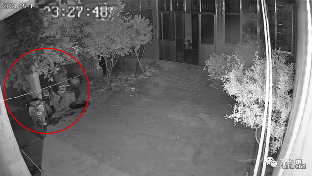 孙女离家前，87岁爷爷凌晨摘樱桃送去！网友：被偏爱真好