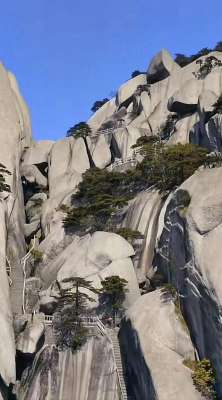 元七七(安庆五绝：青铜纹里醉黄梅月光)