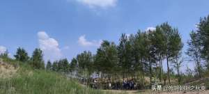 北国之春蒋大为(蒋大为和他演唱的那首令人泪目的《北国之春》)