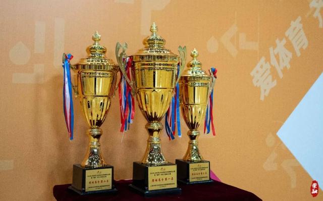 为期4天，“小拳王”们在崇明同台比拼