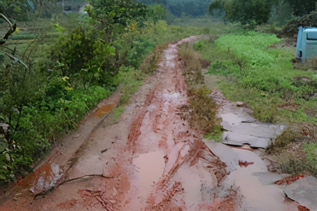 村里的两个“守村人”一个叫李英俊一个叫王潇洒，他们也曾被深爱