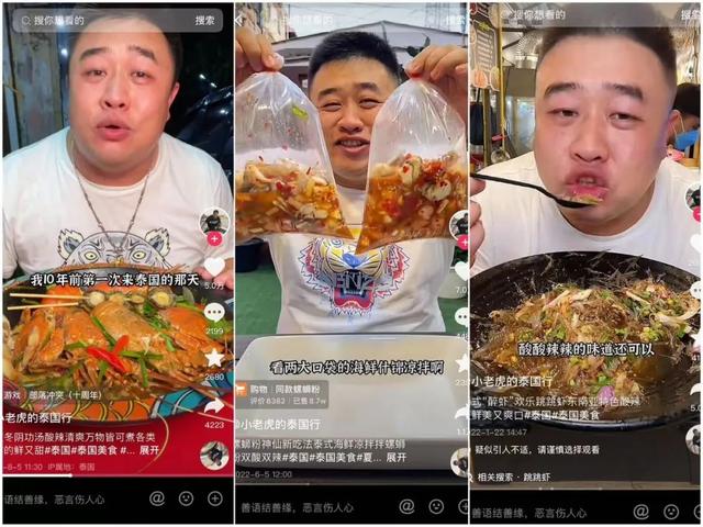 5天吸粉1500W,海外博主“淘金”记