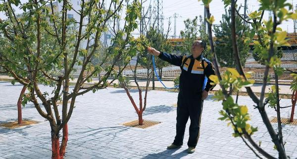 他们在沙漠里实现了“果蔬自由”