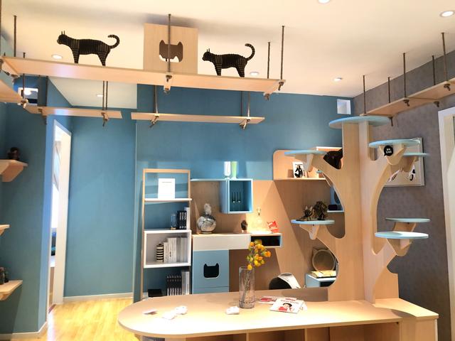 关于未来的家,我们有5个切实的猜想